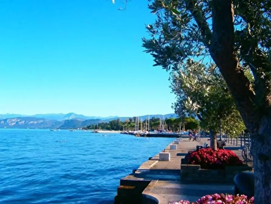 Immagine 3 di Attività commerciale in vendita  in VIALE ROMA 1 a Lazise