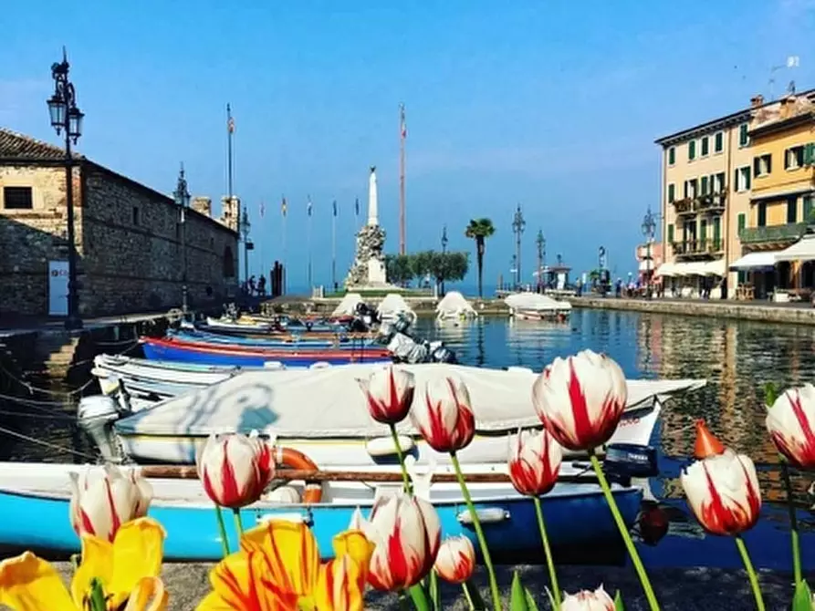 Immagine 8 di Attività commerciale in vendita  in VIALE ROMA 1 a Lazise