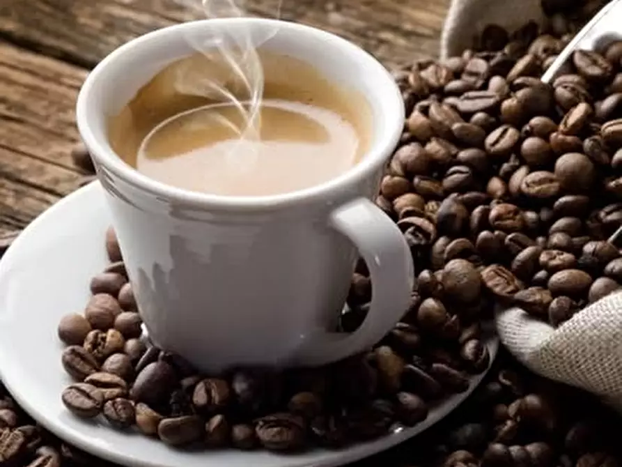 Immagine 2 di Bar / Ristorante in vendita  in VIA ROMA 50 a Pescantina