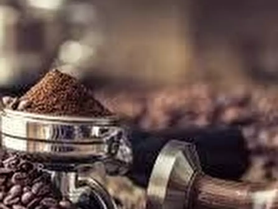 Immagine 3 di Bar / Ristorante in vendita  in VIA ROMA 50 a Pescantina