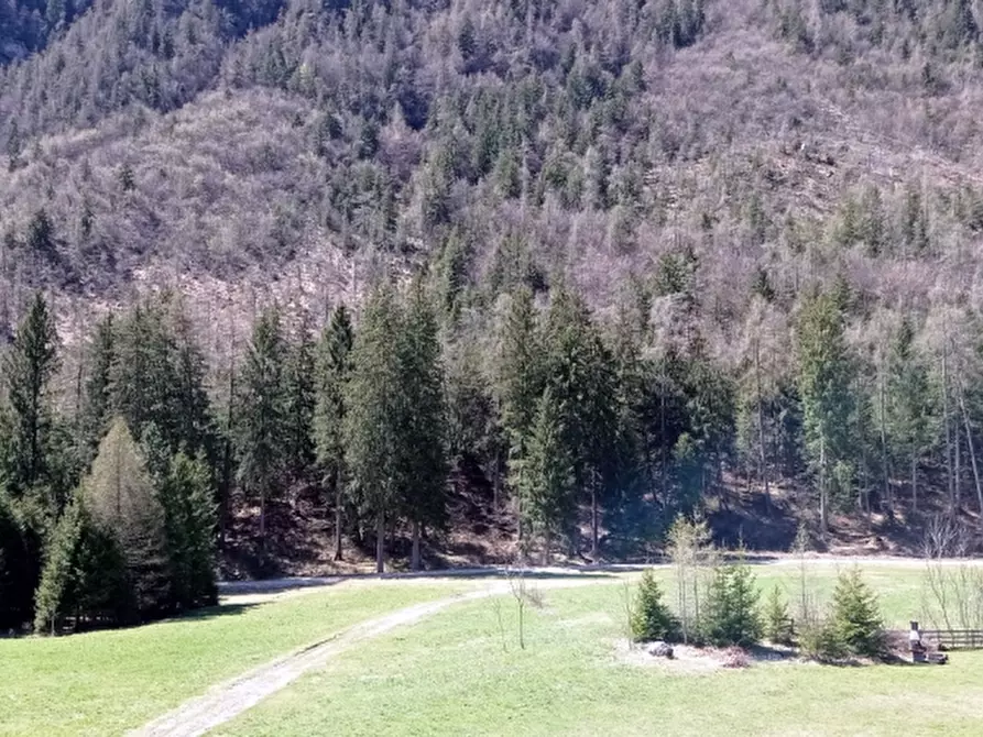 Immagine 23 di Appartamento in vendita  a Borno