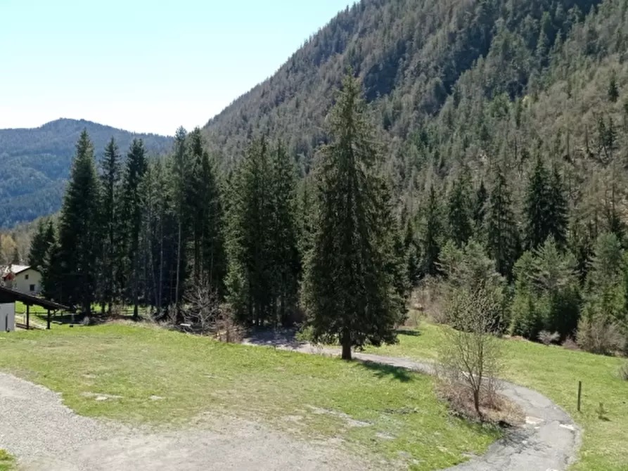 Immagine 24 di Appartamento in vendita  a Borno