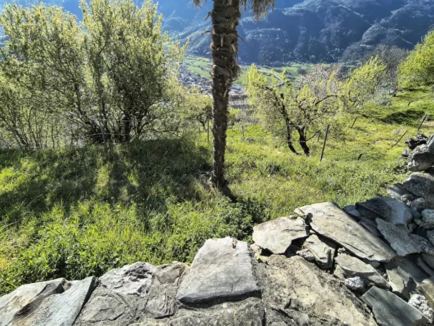 Immagine 28 di Rustico / casale in vendita  a Piancogno