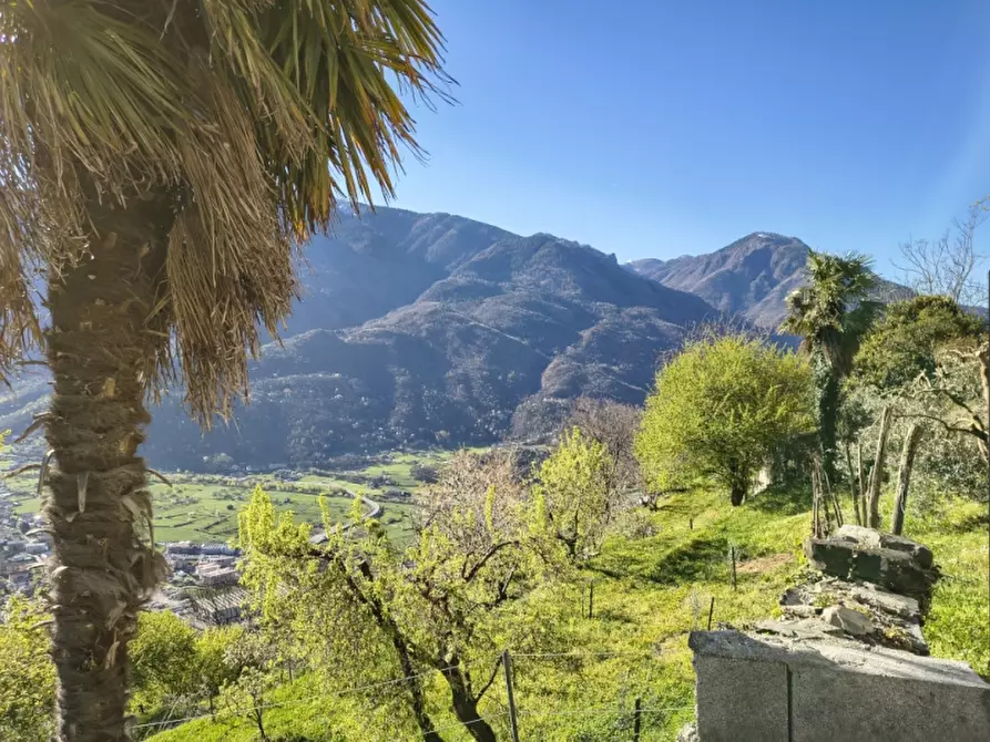 Immagine 32 di Rustico / casale in vendita  a Piancogno