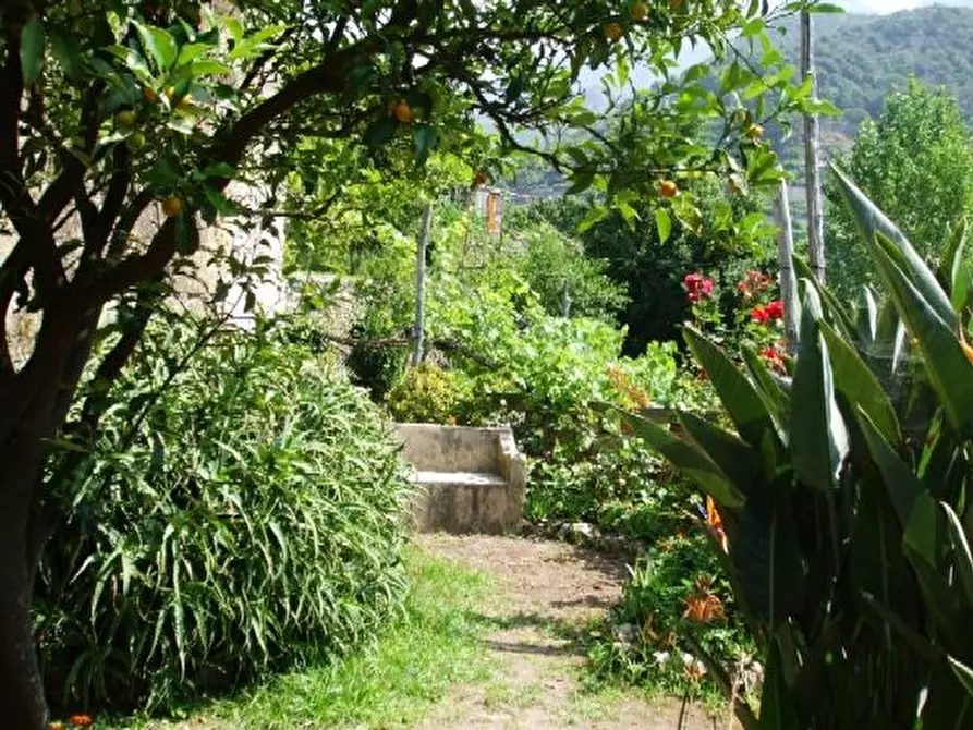 Immagine 4 di Immobile di prestigio in vendita  in via santa caterina a Maiori