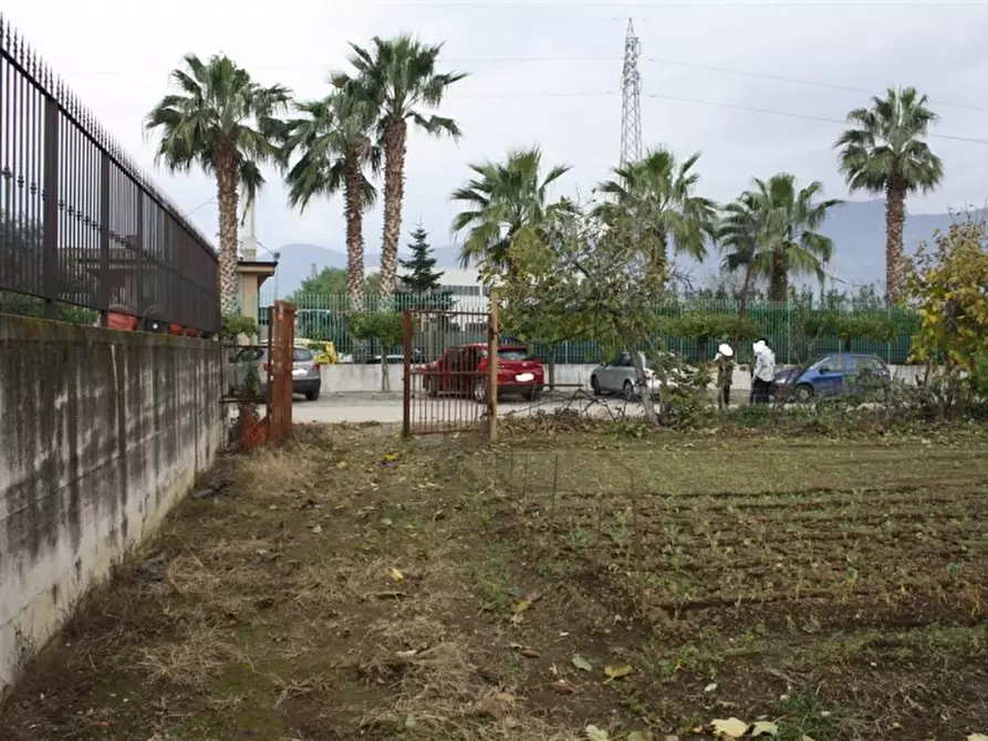 Immagine 4 di Terreno agricolo in vendita  in Via Zeccagnuolo a San Valentino Torio