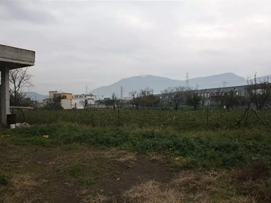 Immagine 5 di Terreno agricolo in vendita  in Via Zeccagnuolo a San Valentino Torio