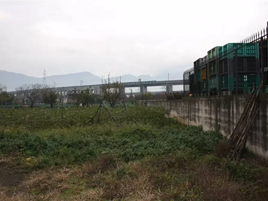 Immagine 6 di Terreno agricolo in vendita  in Via Zeccagnuolo a San Valentino Torio