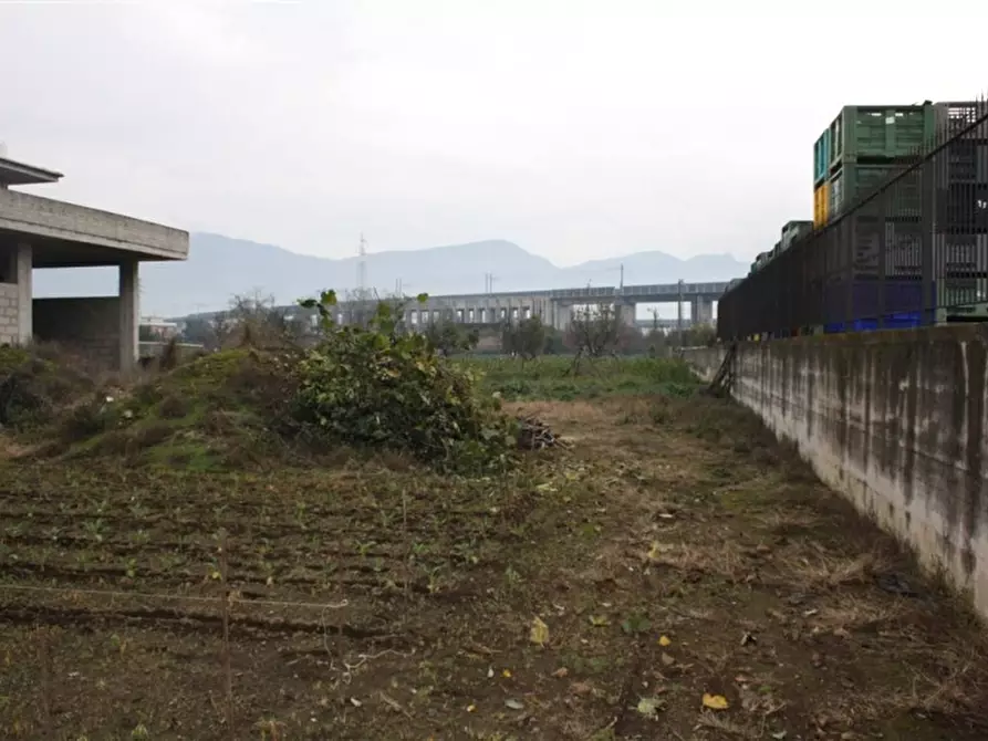 Immagine 7 di Terreno agricolo in vendita  in Via Zeccagnuolo a San Valentino Torio