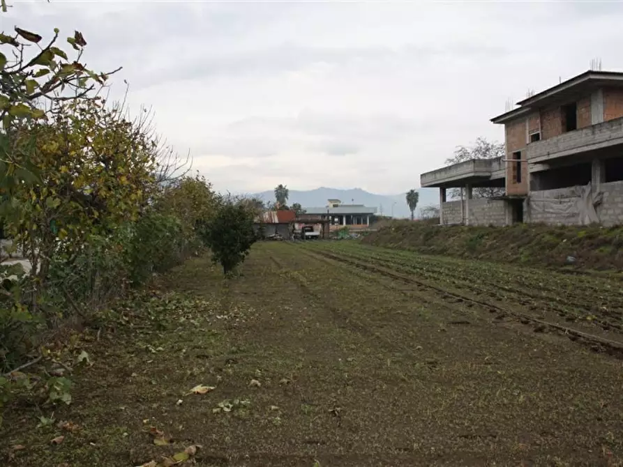 Immagine 9 di Terreno agricolo in vendita  in Via Zeccagnuolo a San Valentino Torio