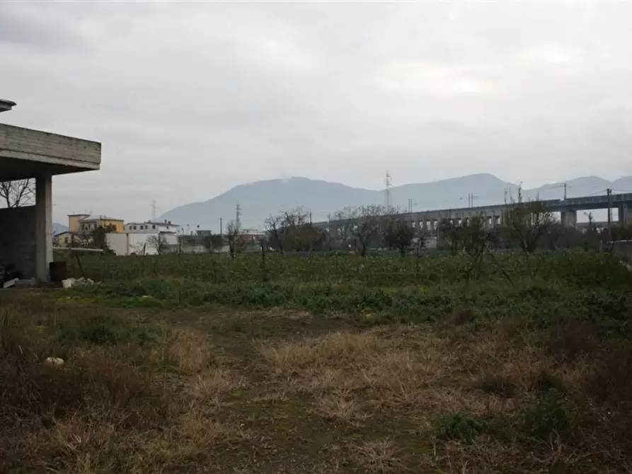 Immagine 3 di Terreno agricolo in vendita  in Via Zeccagnuolo a San Valentino Torio