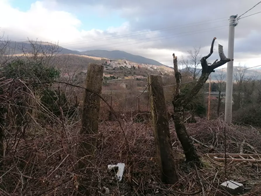 Immagine 14 di Casa indipendente in vendita  a Sessano Del Molise