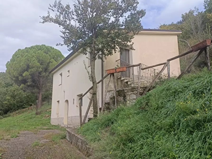 Immagine 1 di Casa indipendente in vendita  a Castelpizzuto