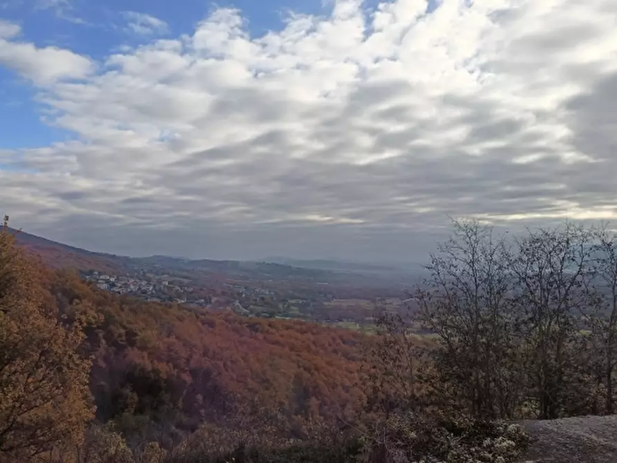 Immagine 21 di Porzione di casa in vendita  a Castelpetroso
