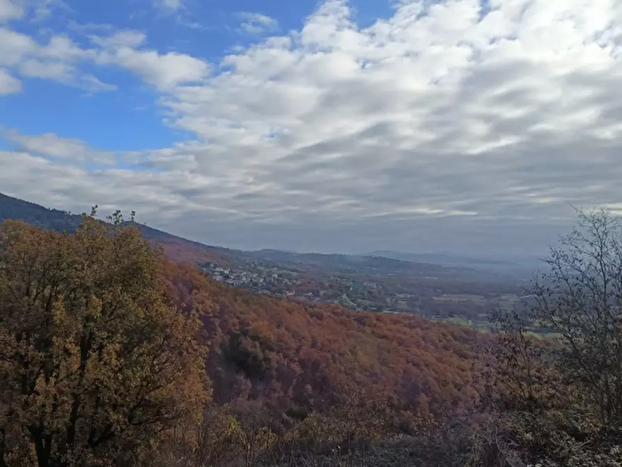 Immagine 23 di Porzione di casa in vendita  a Castelpetroso