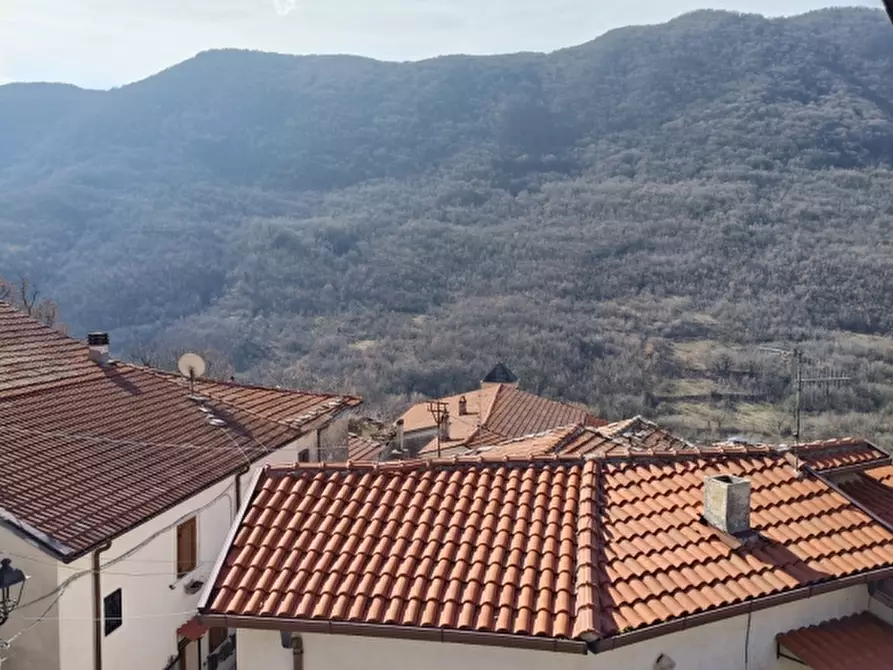 Immagine 25 di Casa indipendente in vendita  in VIA ROMA SNC a Castelpizzuto