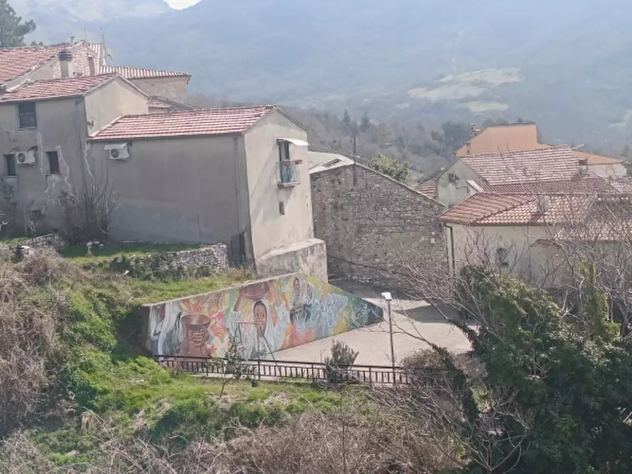 Immagine 4 di Casa indipendente in vendita  in VIA ROMA SNC a Castelpizzuto