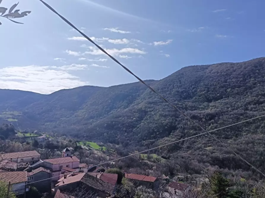 Immagine 3 di Casa indipendente in vendita  in VIA BORGO SNC a Castelpizzuto