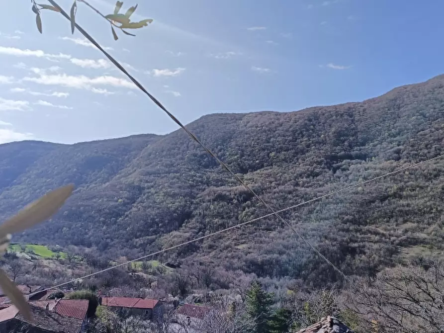 Immagine 4 di Casa indipendente in vendita  in VIA BORGO SNC a Castelpizzuto