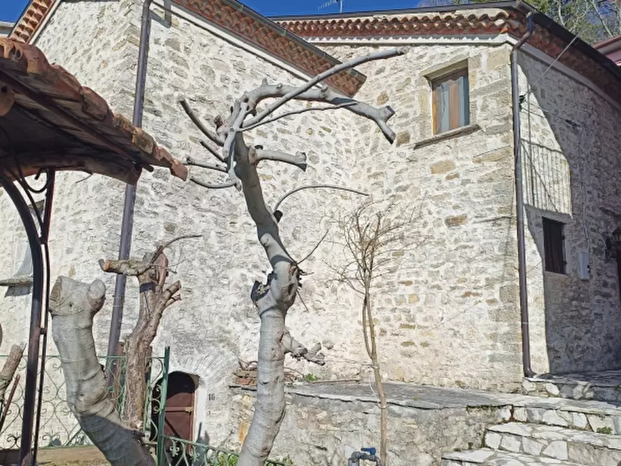 Immagine 7 di Casa indipendente in vendita  in VIA BORGO SNC a Castelpizzuto
