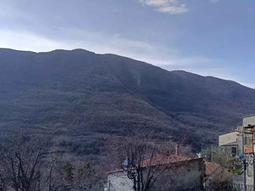 Immagine 8 di Casa indipendente in vendita  in VIA BORGO SNC a Castelpizzuto