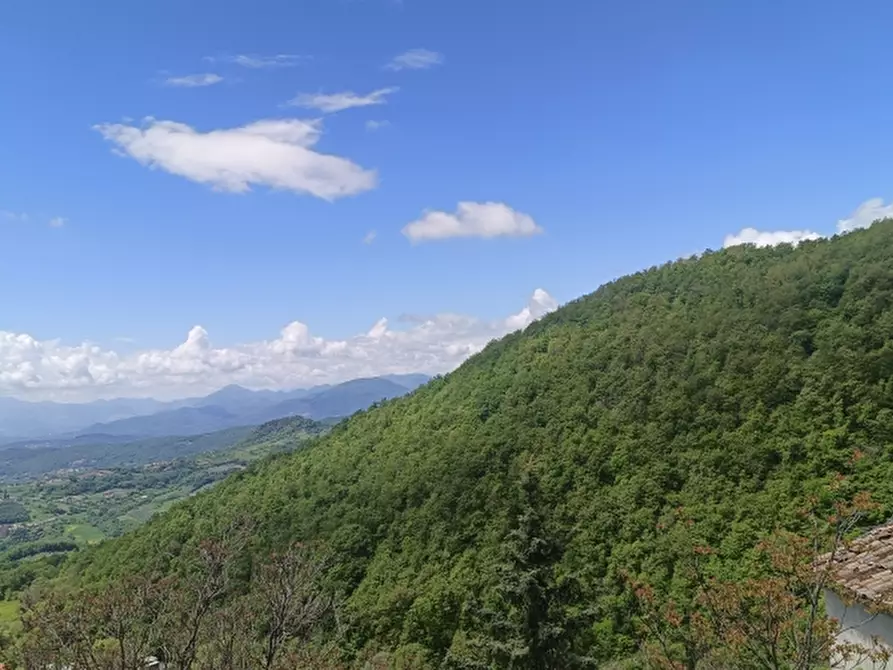 Immagine 16 di Casa indipendente in vendita  a Miranda