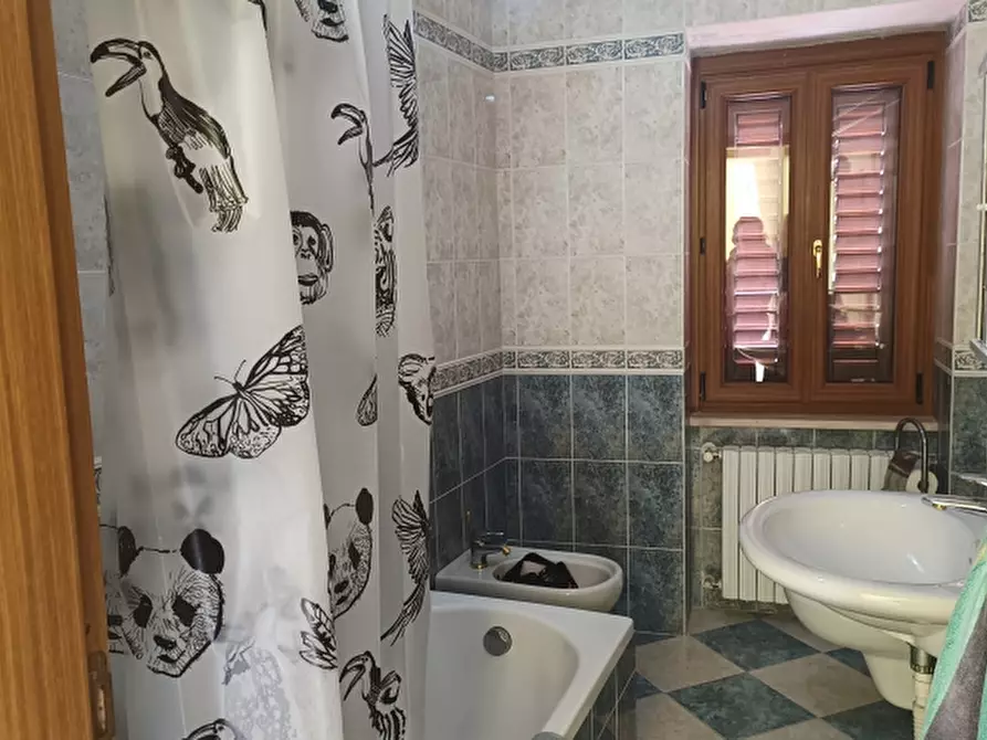 Immagine 19 di Casa indipendente in vendita  a Miranda