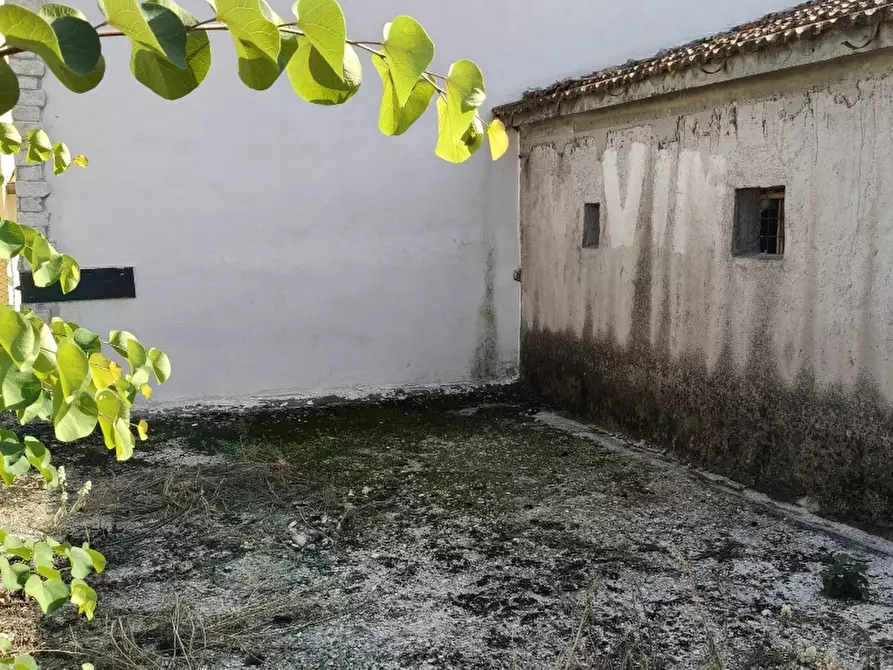 Immagine 4 di Casa indipendente in vendita  a Colli A Volturno