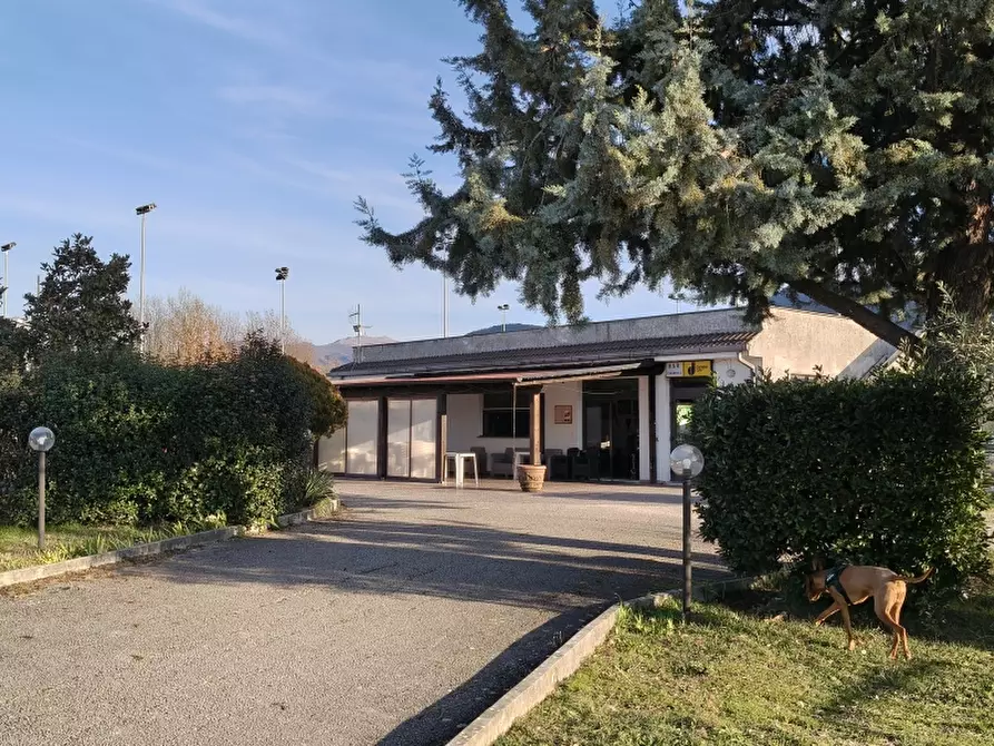 Immagine 2 di Attività commerciale in vendita  a Macchia D'isernia