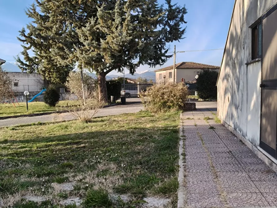 Immagine 18 di Attività commerciale in vendita  a Macchia D'isernia