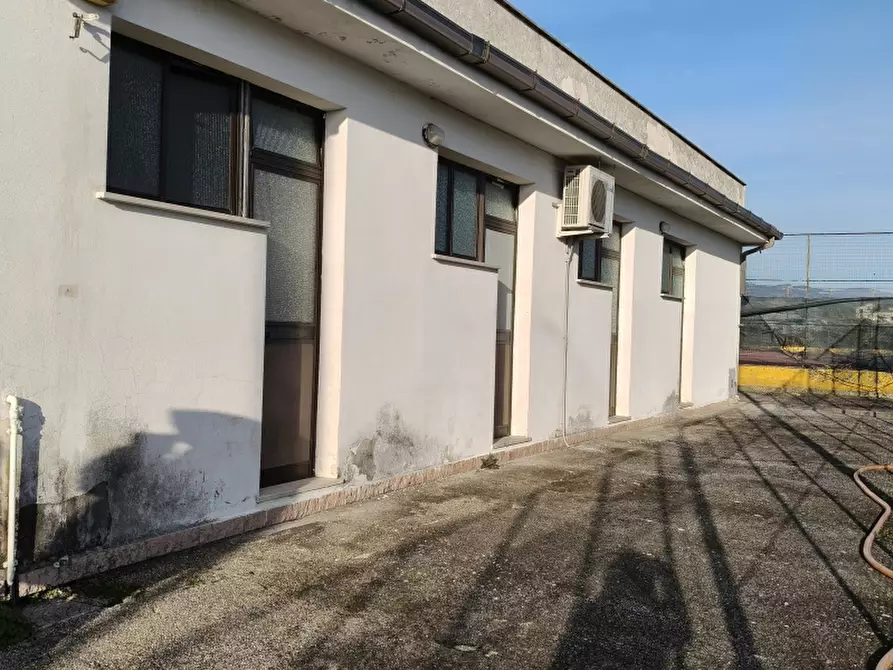 Immagine 25 di Attività commerciale in vendita  a Macchia D'isernia