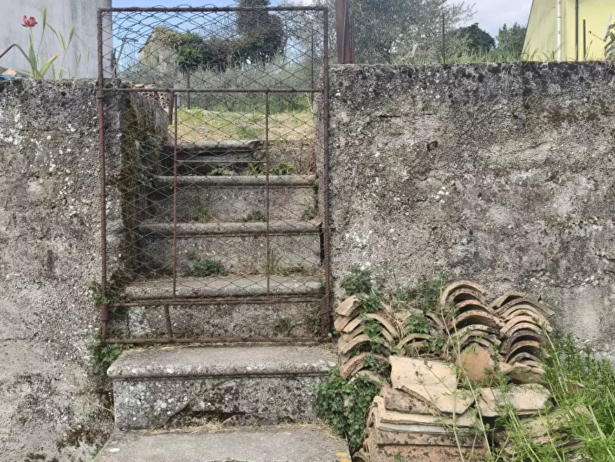Immagine 14 di Casa indipendente in vendita  a Carpinone