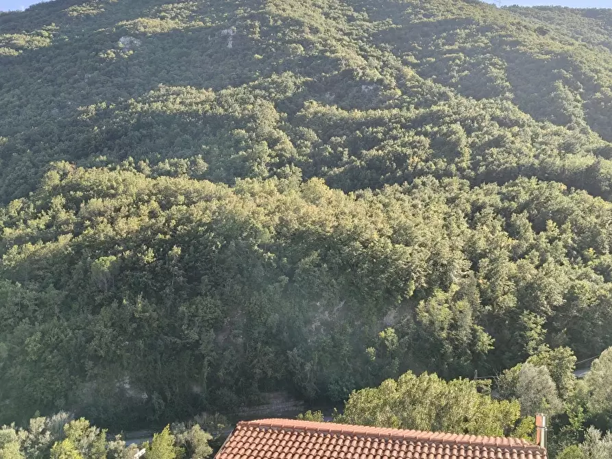 Immagine 14 di Casa indipendente in vendita  a Colli A Volturno