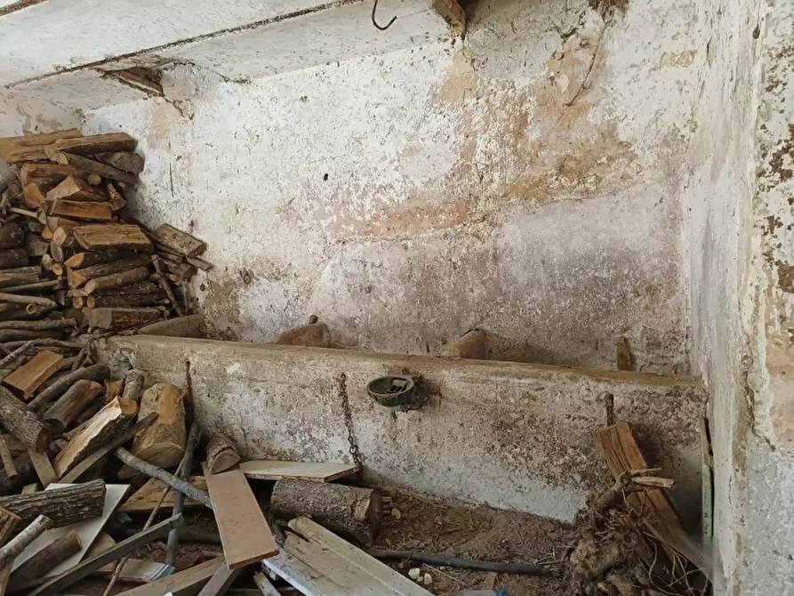Immagine 9 di Casa indipendente in vendita  a Isernia