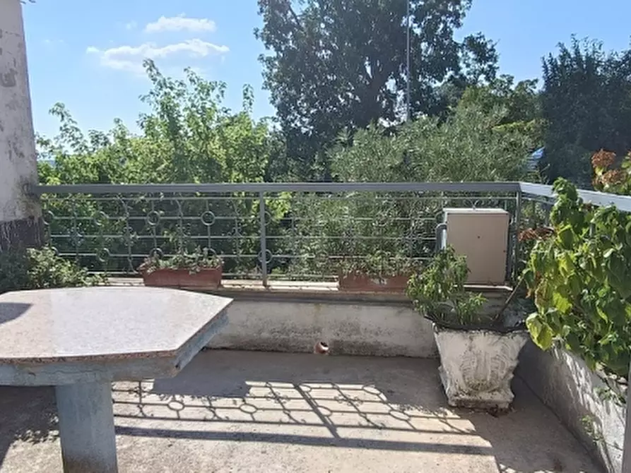 Immagine 18 di Casa indipendente in vendita  a Isernia