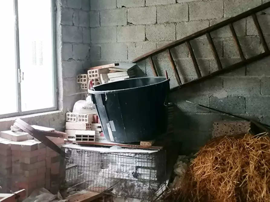 Immagine 4 di Casa indipendente in vendita  a Sessano Del Molise