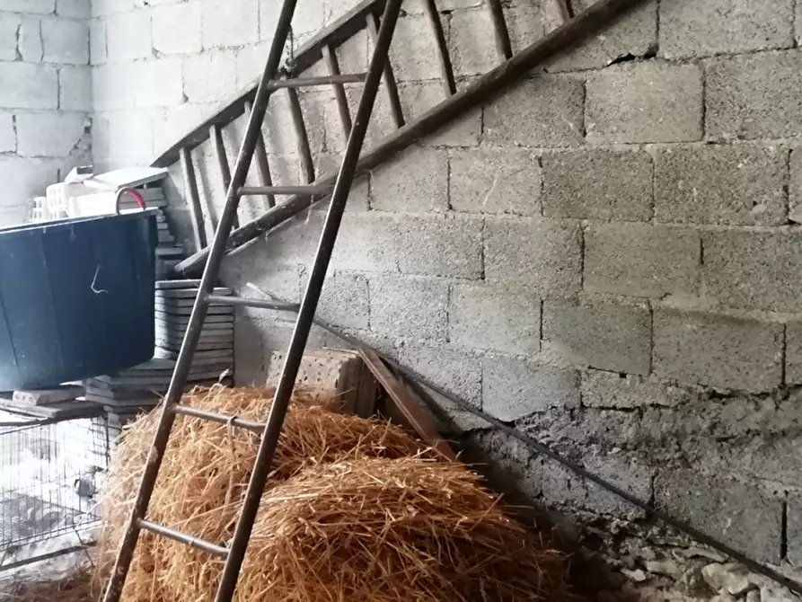 Immagine 5 di Casa indipendente in vendita  a Sessano Del Molise