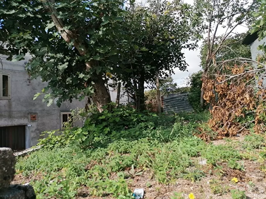 Immagine 10 di Porzione di casa in vendita  a Sessano Del Molise