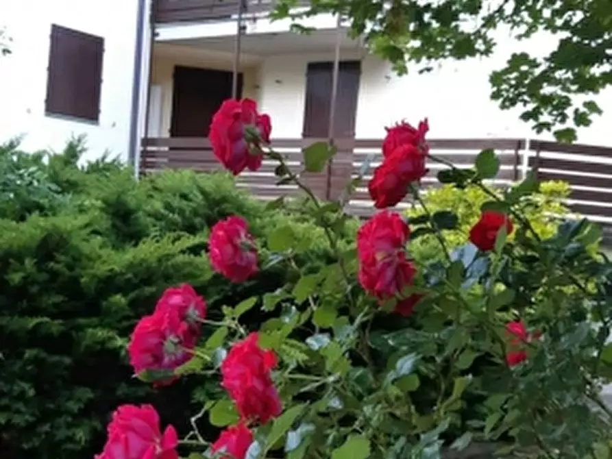 Immagine 4 di Appartamento in affitto  a Challand-Saint-Anselme