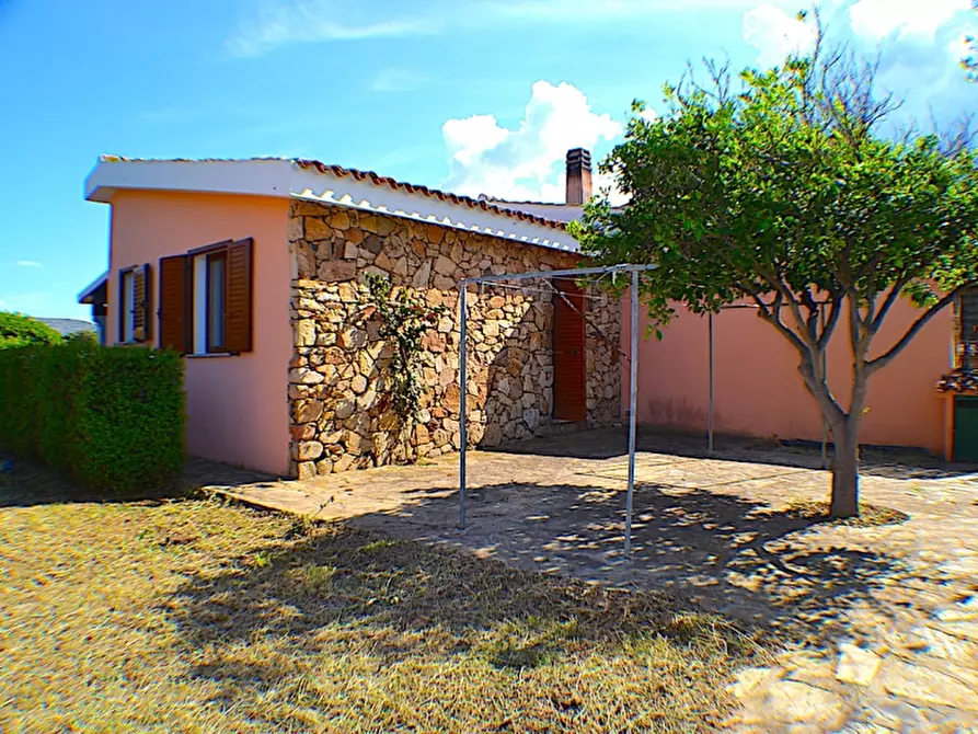 Immagine 12 di Casa vacanze in affitto  a San Teodoro