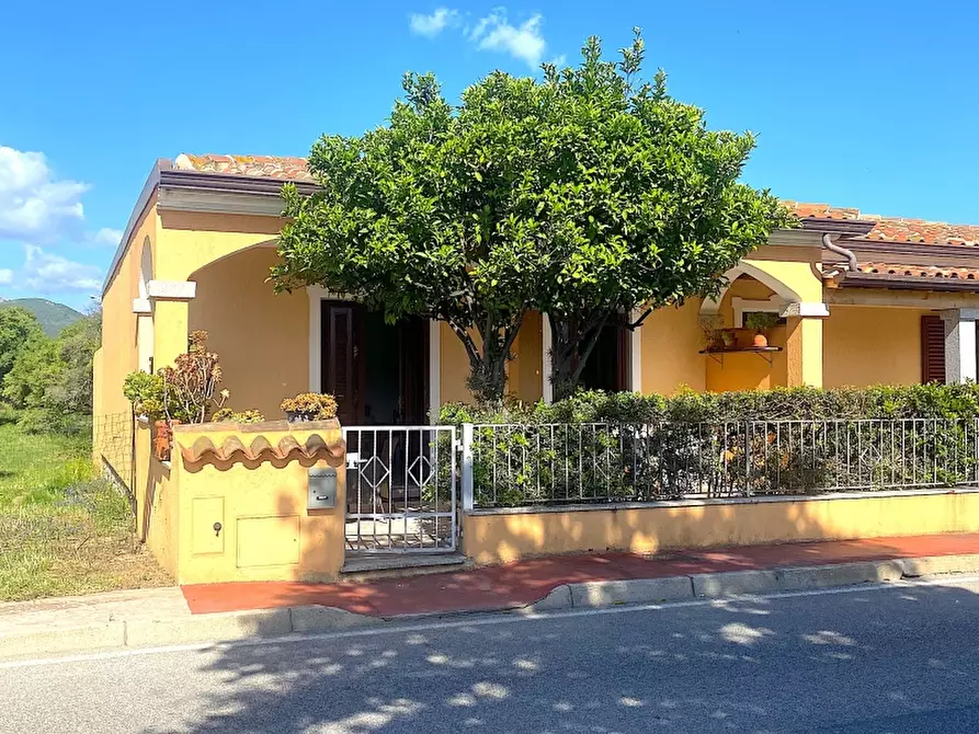 Immagine 2 di Casa vacanze in affitto  in Via del Tirreno 49 a San Teodoro