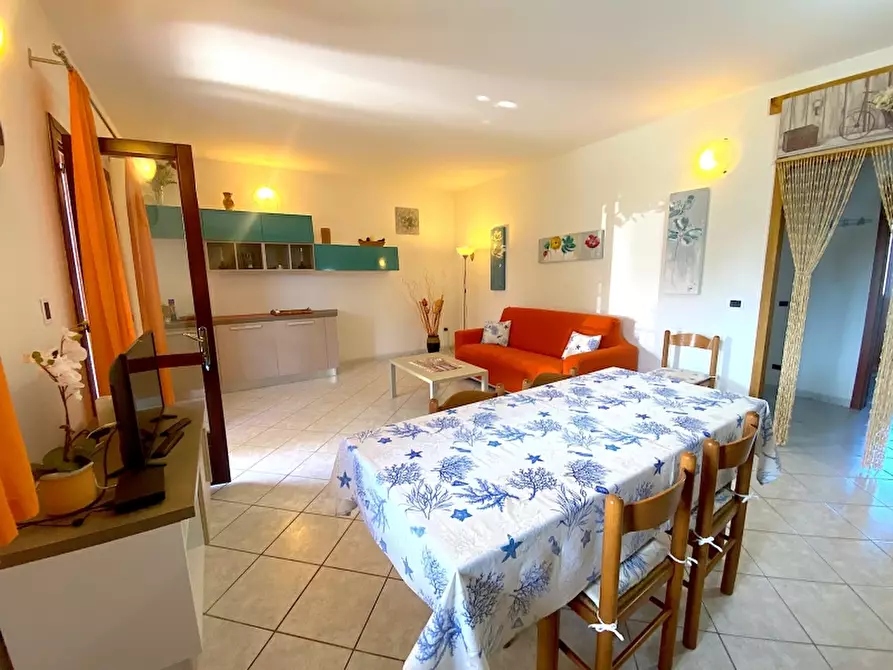 Immagine 8 di Casa vacanze in affitto  in Via del Tirreno 49 a San Teodoro