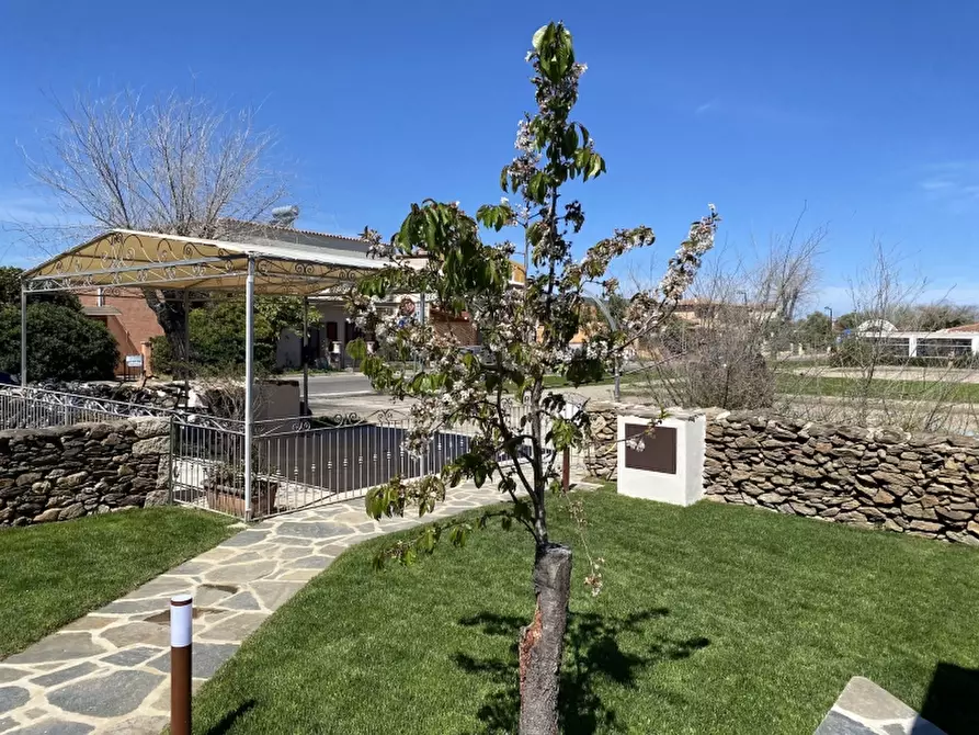 Immagine 3 di Casa vacanze in affitto  a San Teodoro