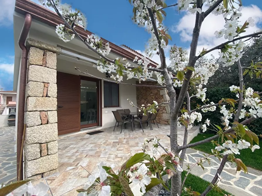 Immagine 9 di Casa vacanze in affitto  a San Teodoro