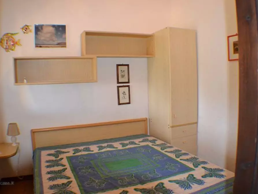 Immagine 3 di Casa vacanze in affitto  a San Teodoro