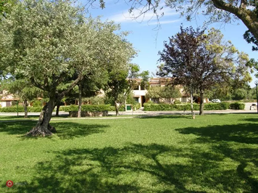 Immagine 3 di Casa vacanze in affitto  a San Teodoro