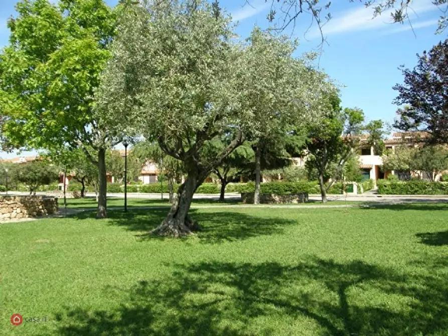 Immagine 4 di Casa vacanze in affitto  a San Teodoro