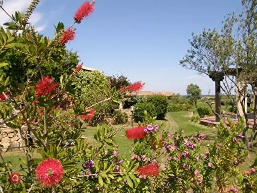 Immagine 6 di Casa vacanze in affitto  a San Teodoro