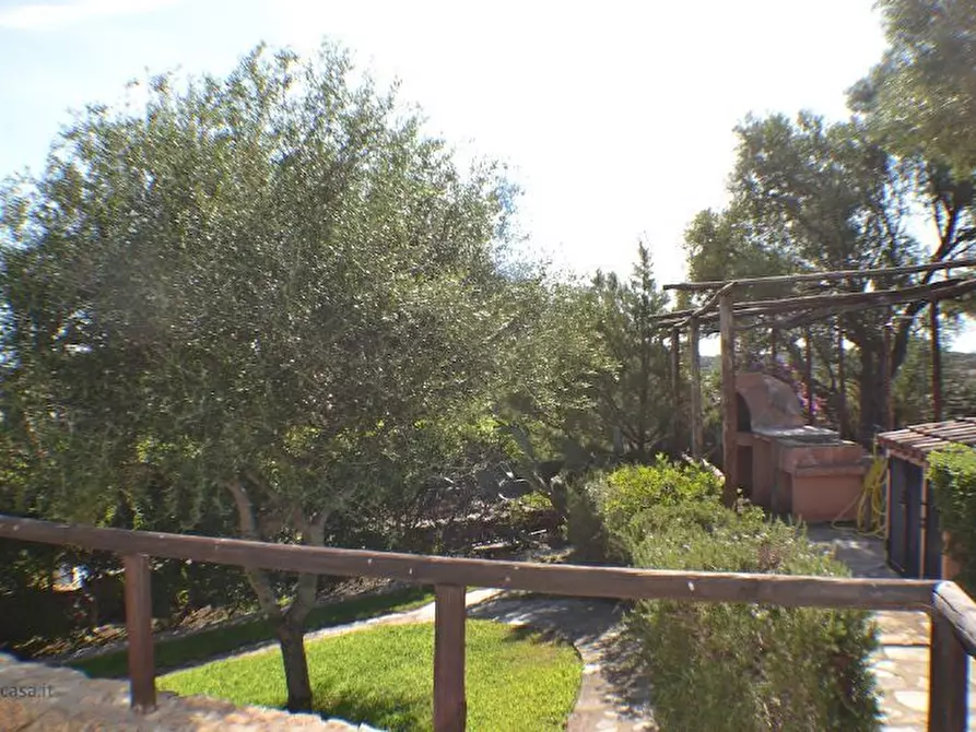 Immagine 11 di Casa vacanze in affitto  a San Teodoro