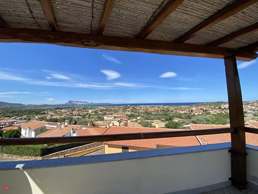 Immagine 15 di Casa vacanze in affitto  a San Teodoro